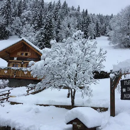 Chalet Fleur Des Neiges Saint-Jean-d'Aulps Exterior photo