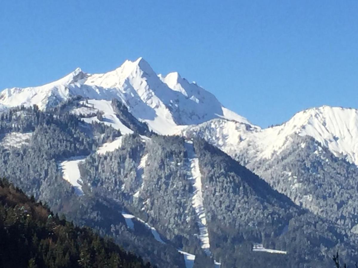 Fleur Des Neiges Chalet *