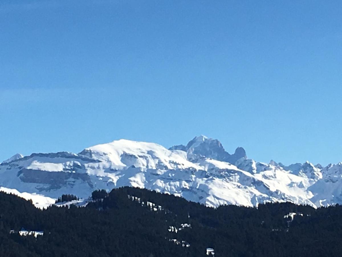 Fleur Des Neiges Chalet